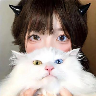 风流寃家 (1960年电影)