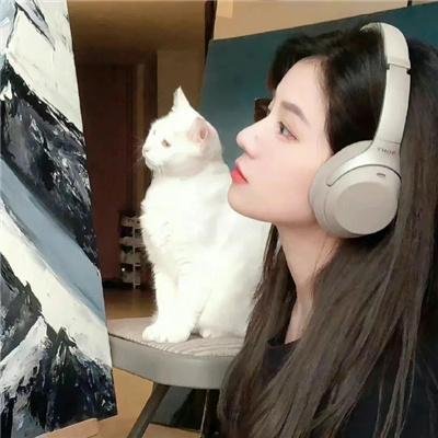 神秘博士与你我--文化大观特别节目